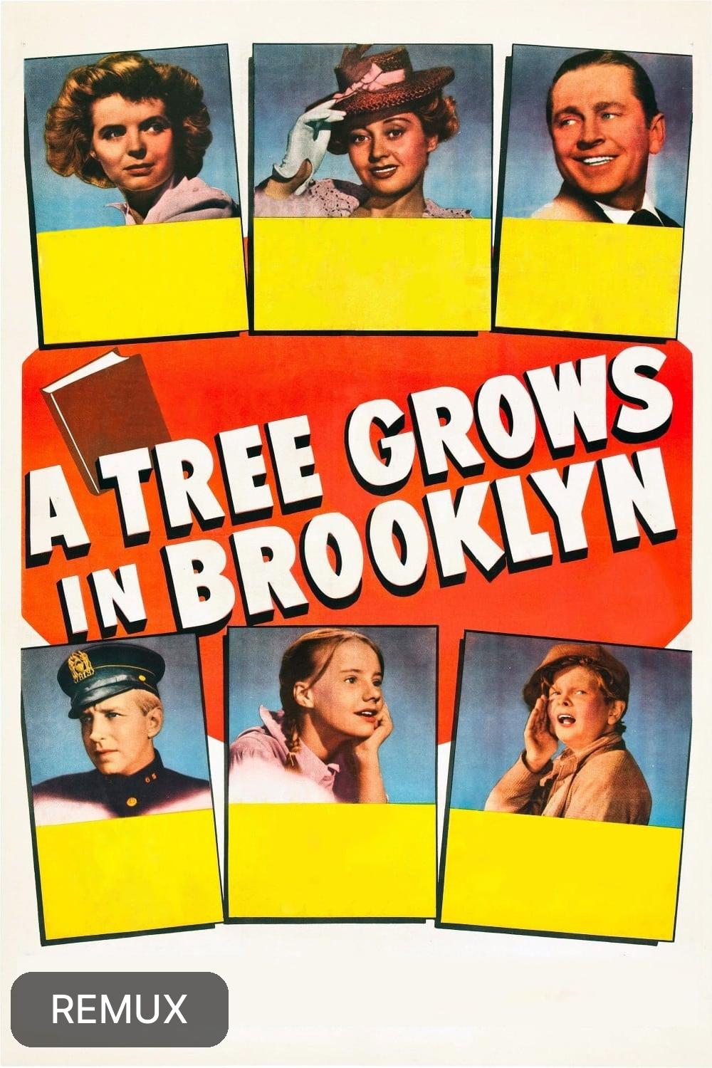 A Tree Grows in Brooklyn (1945) [427452] (A1736621508) [[Movies]] --Plex--
